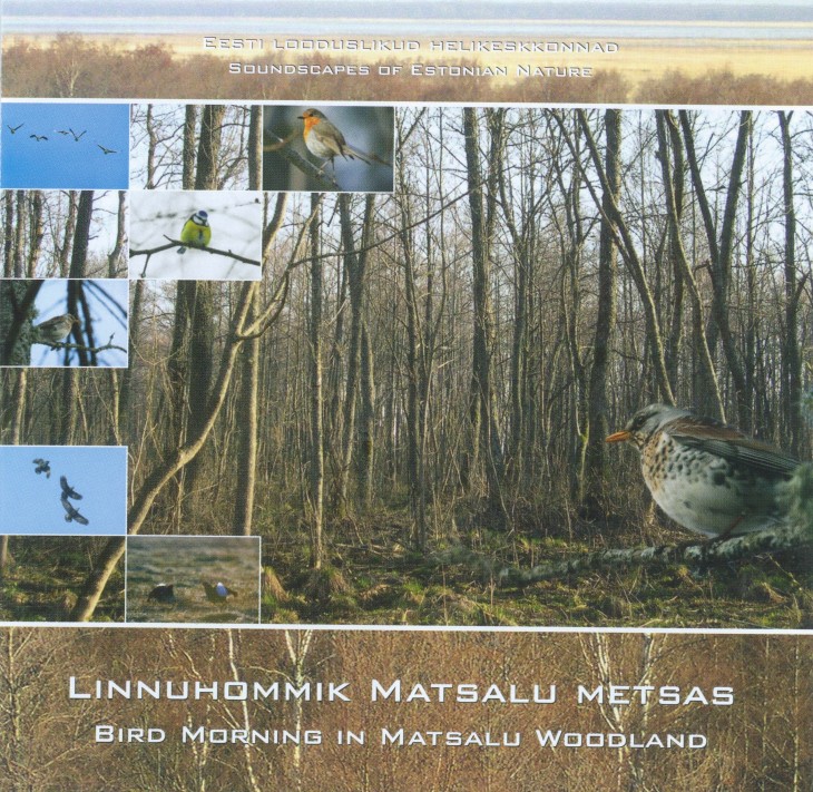 Linnuhommik Matsalu metsas